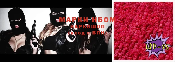 амф Аркадак