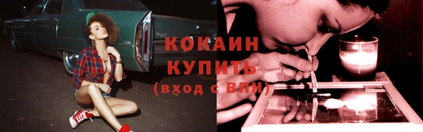 PSILOCYBIN Балабаново