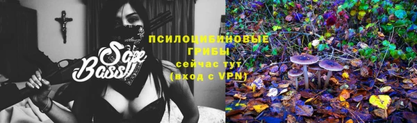 первитин Няндома